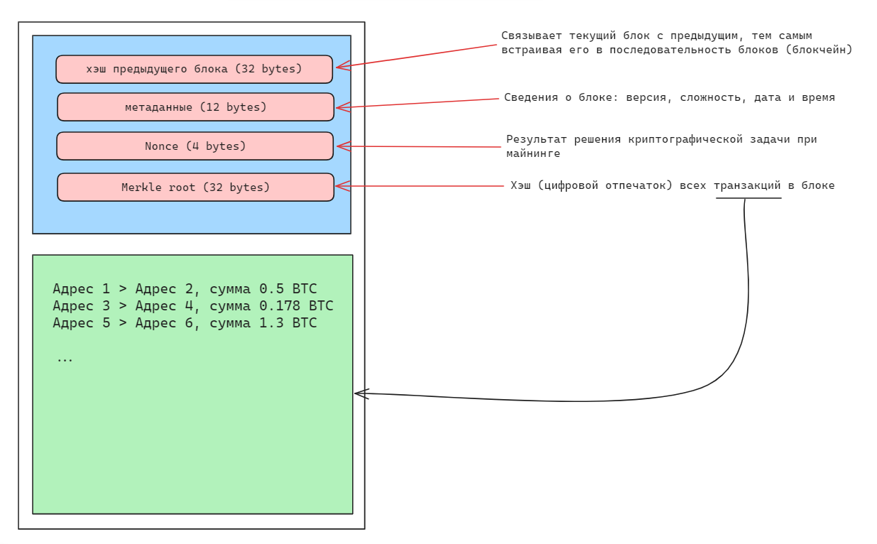 Структура блока в bitcoin